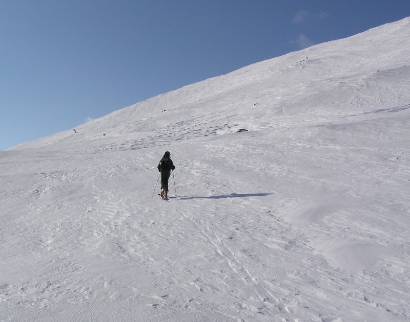 Click for the original image